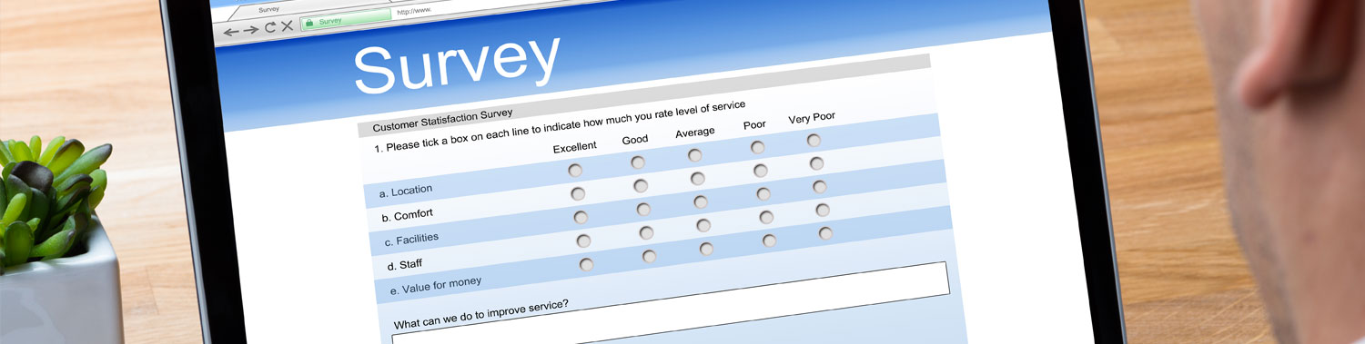 Qualitative-Research-page-surveys